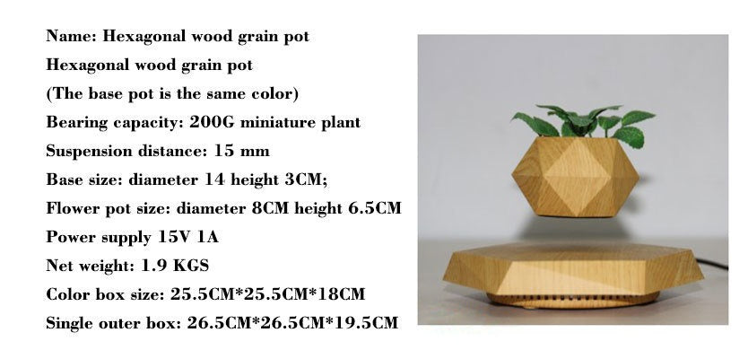 Magnetic Floating Hexagon Wood Grain Pot – Levitating Planter
